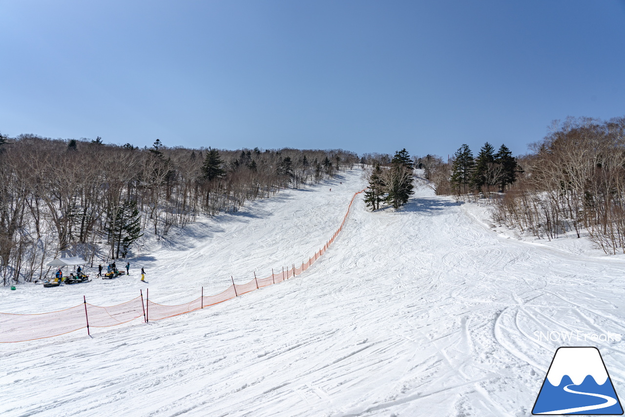 サッポロテイネ｜ついに…本格的な春シーズンが到来！ザクザク雪で凸凹な急斜面が楽しすぎる♪